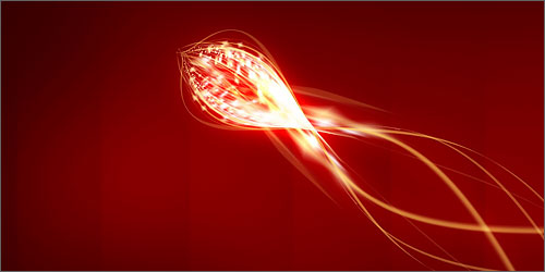 Children of the Stars